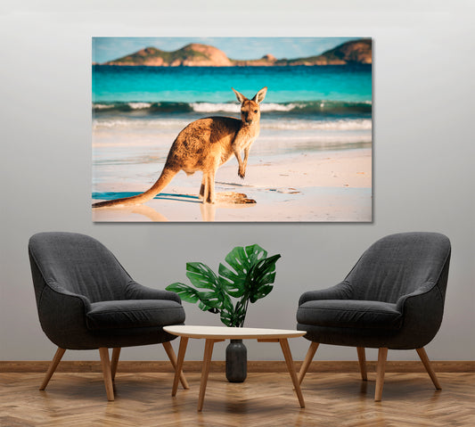 Kangaroo at Lucky Bay Countries Canvas Print Artesty