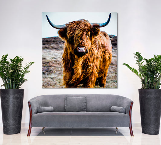Shaggy Highland Cow Animals Canvas Print Artesty