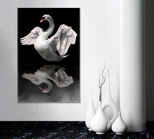 Swan In Water Reflection Animals Canvas Print Artesty