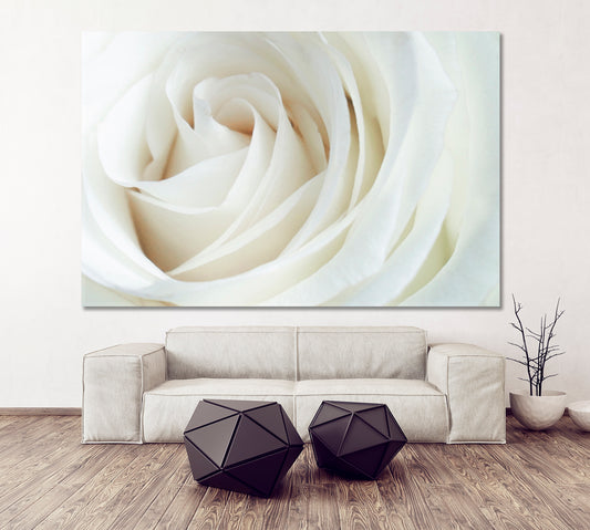Soft And Dreamy White Creamy Roses Floral & Botanical Split Art Artesty 1 panel 24" x 16"