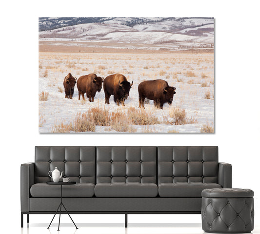 Field With Four American Bison Animals Canvas Print Artesty
