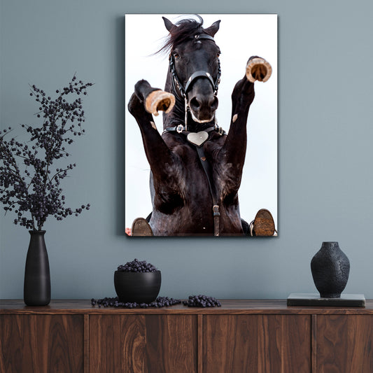 Rearing Horse Animals Canvas Print Artesty