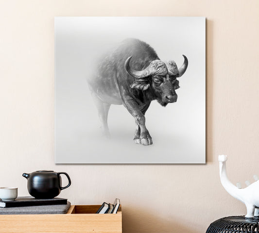 WILDLIFE African Buffalo In The Mist Animals Canvas Print Artesty