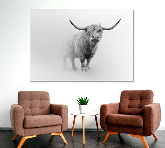 Young Scottish Highland Cattle Cow Animals Canvas Print Artesty
