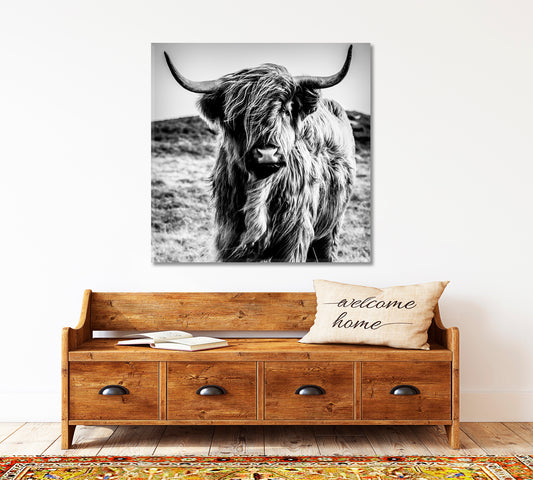 Black and White Cattle Shaggy Highland Cow Animals Canvas Print Artesty