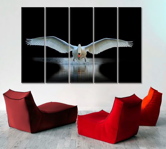 Swan With Open Wings Unique Moment Animals Canvas Print Artesty