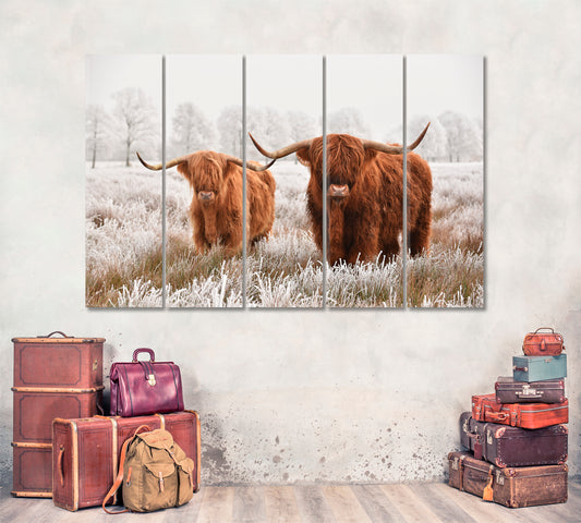 Hairy Scottish Highland Cow Winter Landscape Animals Canvas Print Artesty