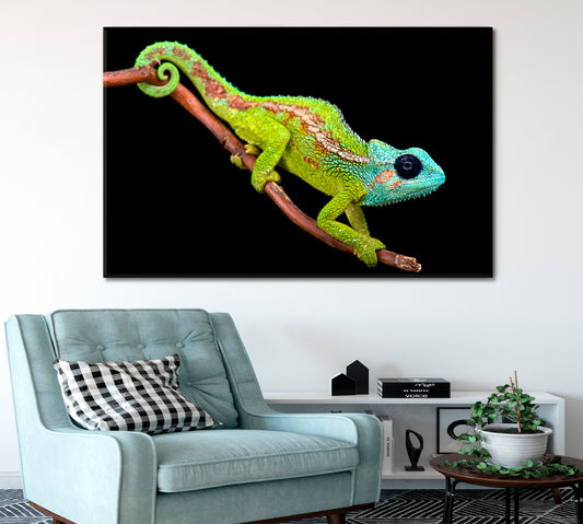 Chameleon Animals Canvas Print Artesty