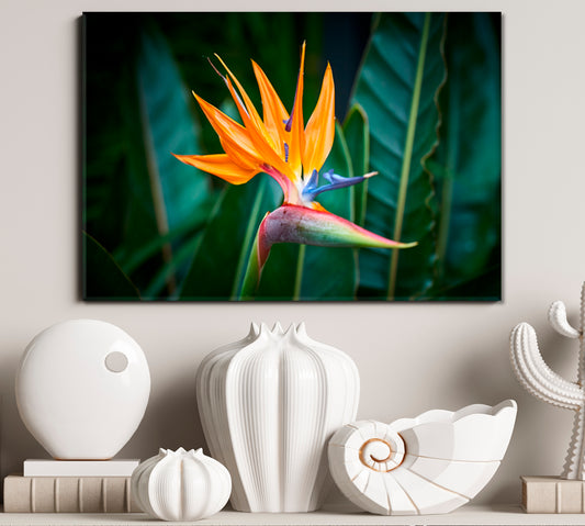 Beautiful Bird of Paradise Flower Art Floral & Botanical Split Art Artesty