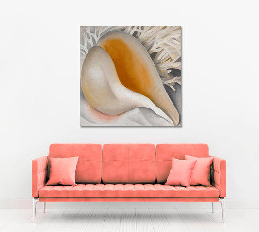 SEA SHELL Ocean Life Large Abstract Shells - Square Fine Art Artesty