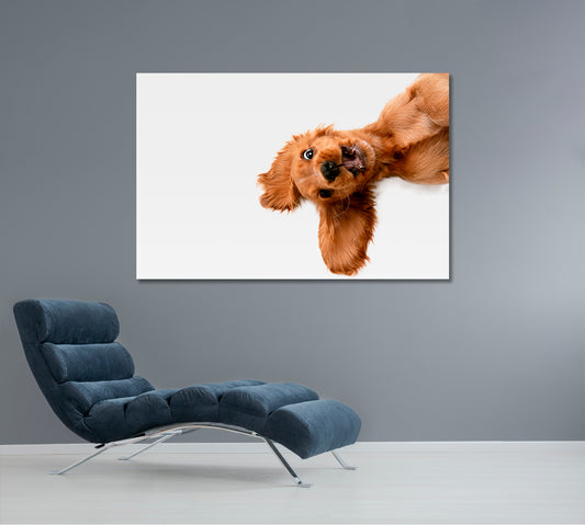 CRAZY PURE YOUTH Funny Cute Dog Kids Room Art, Animals World Animals Canvas Print Artesty