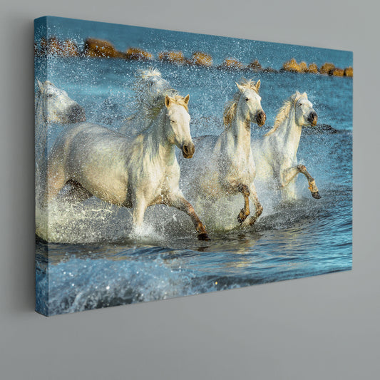 Beautiful White Horses Animals Canvas Print Artesty 1 panel 24" x 16"