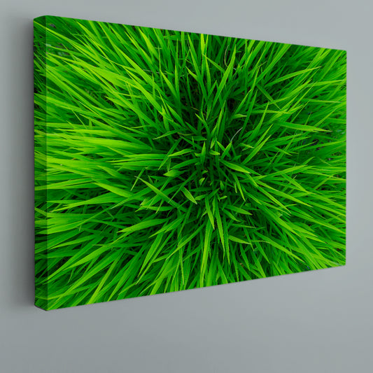 GREEN HOME Grass Floral & Botanical Split Art Artesty