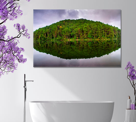 AMAZING Nature Reflection of pine tree in a lake, Thailand Pang Ung Hidden Treasures Scenery Landscape Fine Art Print Artesty