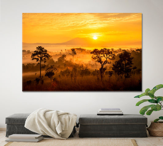 Beautiful Landscape Forest Pine Tree Misty Mountain National Park Scenery Landscape Fine Art Print Artesty