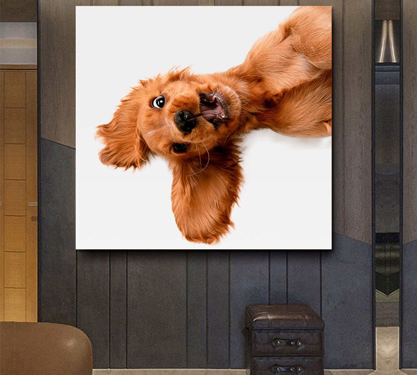 CRAZY PURE YOUTH English Cocker Spaniel Young Funny Cute Dog Kids Room Art - Square Panel Animals Canvas Print Artesty