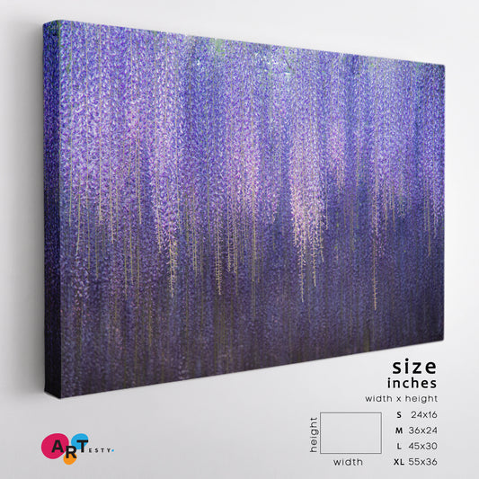 Beautiful Great Purple Pink Wisteria Trellis Ashikaga Flower Park Japan Floral & Botanical Split Art Artesty