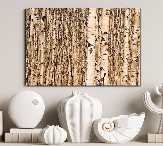 WOODLAND Aspen Trees Tree Alley Nature Wall Canvas Print Artesty 1 panel 24" x 16"