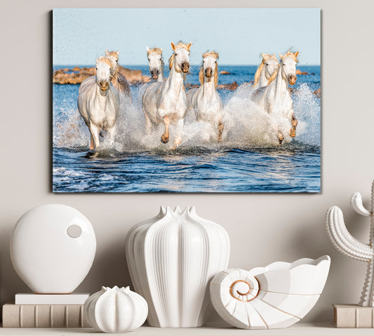 White Camargue Horses Galloping Animals Canvas Print Artesty