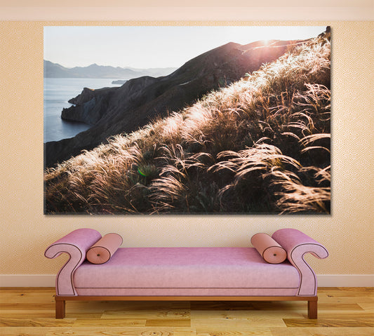 Sunset Coastline Landscape Hill Incredible Spring Field Feather Grass Nature Wall Canvas Print Artesty