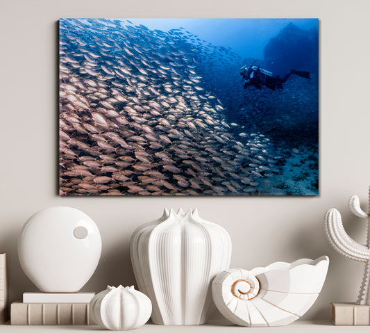 Divers Large School Fish Coral Reef Sea Bottom Nautical, Sea Life Pattern Art Artesty 1 panel 24" x 16"