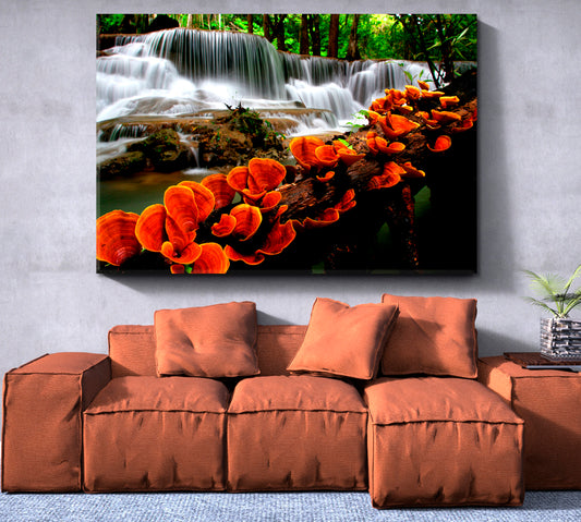 NATURE LANDSCAPE Cascade Waterfalls Orange Mushroom On Tree Nature Wall Canvas Print Artesty