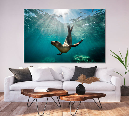 Sea Life A beautiful Shot of a California Sea Lion Seal Nautical, Sea Life Pattern Art Artesty 1 panel 24" x 16"