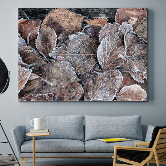 ABSTRACT NATURALISM Frost on Brown Leaf Floral & Botanical Split Art Artesty 1 panel 24" x 16"
