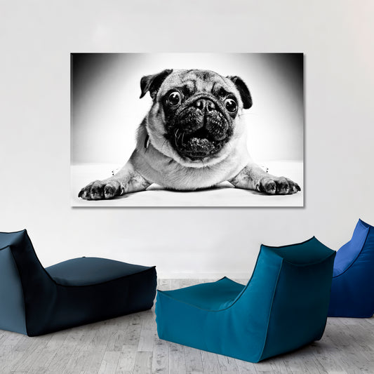 Funny Animals Poster Animals Canvas Print Artesty