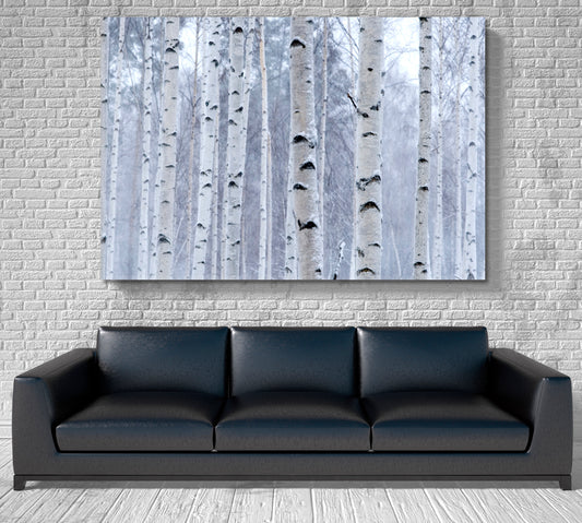 Birch Trees Forest Nature Wall Canvas Print Artesty 1 panel 24" x 16"