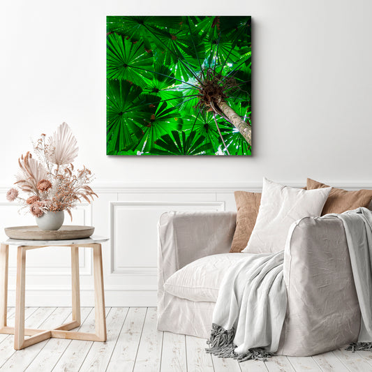 UNUSUAL PALM TREES Australia Rainforest Tropical, Exotic Art Print Artesty