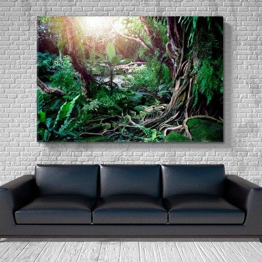 LIANA VINES JUNGLE RAINFOREST Colored Lush Scenes Landscape Nature Wall Canvas Print Artesty 1 panel 24" x 16"