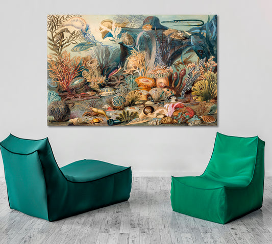 OCEAN LIFE By James M. Sommerville Fine Art Artesty