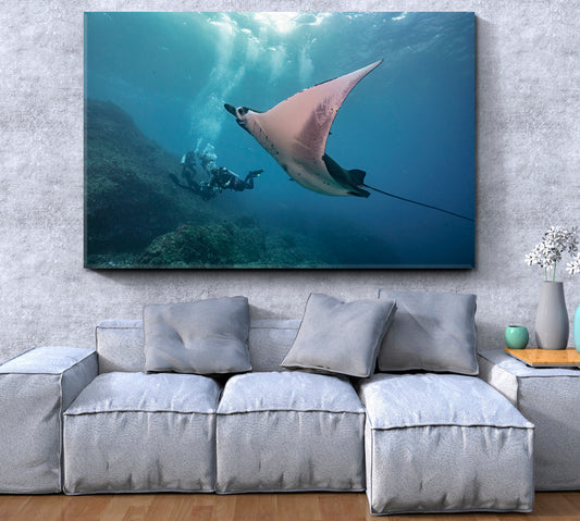 DIVING Nice Manta-Ray Underwater Amazing Photo Shoot Nautical, Sea Life Pattern Art Artesty