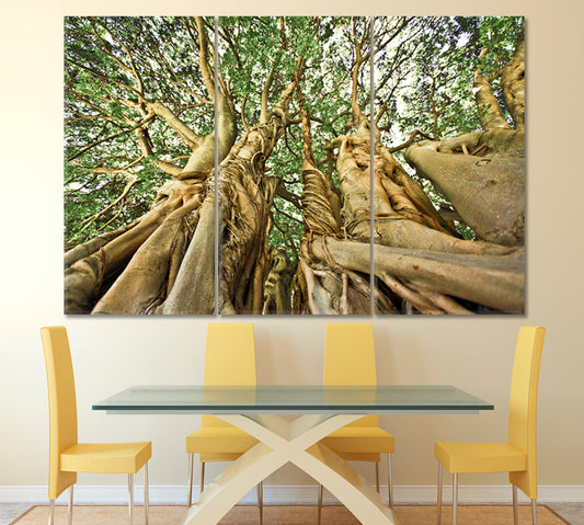 UNIQUE TREE FORMATION Giant Old Tree Africa Forest Huge Baobab Nature Wall Canvas Print Artesty