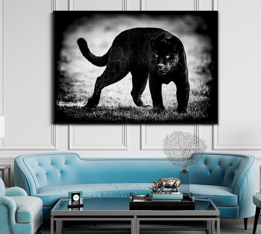 PUMA Wild Beast Jaguar Beautiful Animals Wildlife Animals Canvas Print Artesty