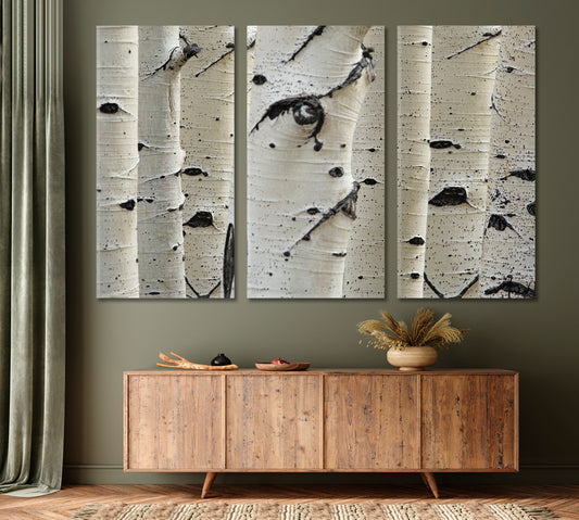 Birch Trees Row Close-up Trunks Nature Wall Canvas Print Artesty
