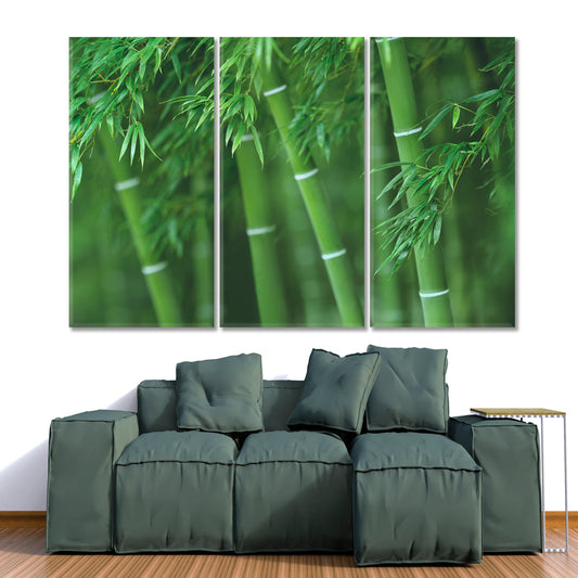 Bamboo Green Forest Floral & Botanical Split Art Artesty 3 panels 36" x 24"