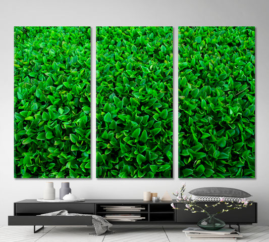 LIVE GREEN HOME Plant Leaf Abstract Floral & Botanical Split Art Artesty 3 panels 36" x 24"