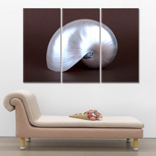 PEARL SHELL Abstract Seashell Contemporary Art Artesty 3 panels 36" x 24"
