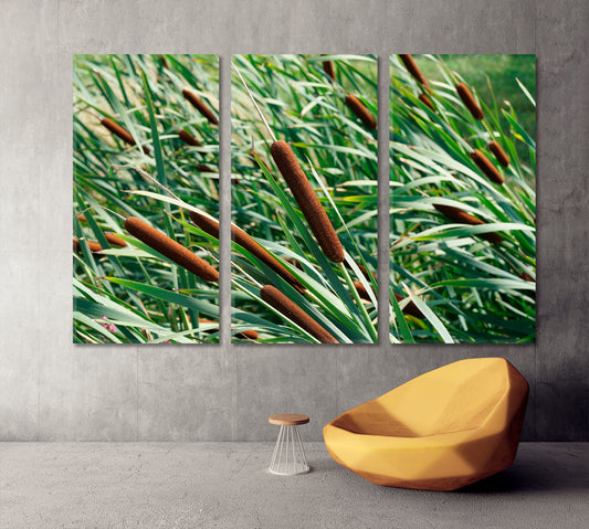 Colorful Green Reeds with Cattail Nature Wall Canvas Print Artesty 3 panels 36" x 24"