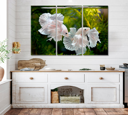 Aquarium Platinum White Dumbo Siamese Fighting Fish Underwater Nautical, Sea Life Pattern Art Artesty 3 panels 36" x 24"