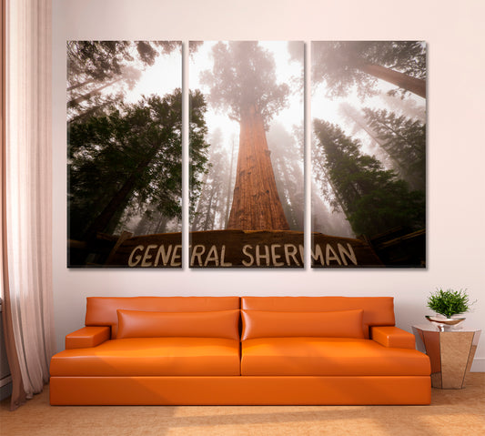 Giant Sequoia Tree General Sherman Sequoia National Park California USA Famous Landmarks Artwork Print Artesty 3 panels 36" x 24"