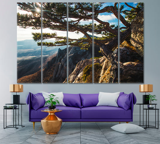 Breathtaking Beautiful Mountains Sunset Big Pine Tree on the Rock Nature Wall Canvas Print Artesty