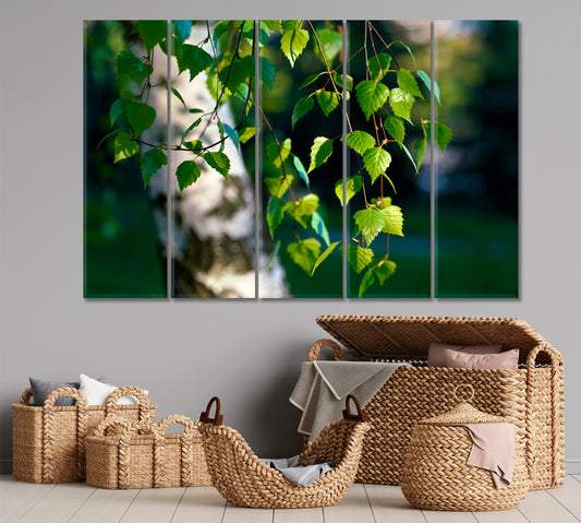 Spring Awakening White Birch Trees Green Leaves Branches Nature Wall Canvas Print Artesty
