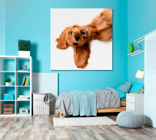 CRAZY PURE YOUTH English Cocker Spaniel Young Funny Cute Dog Kids Room Art - Square Panel Animals Canvas Print Artesty