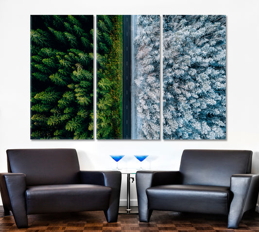 TWO SEASONS Highway Road Through The Forest Aerial View Scenery Landcape Artesty 3 panels 36" x 24"