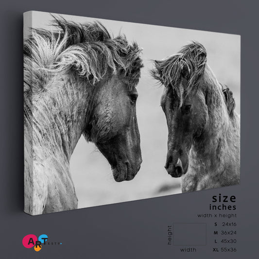 Beautiful Horses Black and White Animals Canvas Print Artesty