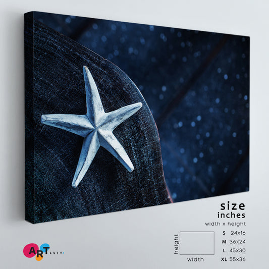 STARFISH Abstract SPA Concept Canvas Print Spa, Zen Wall Canvas Art Artesty