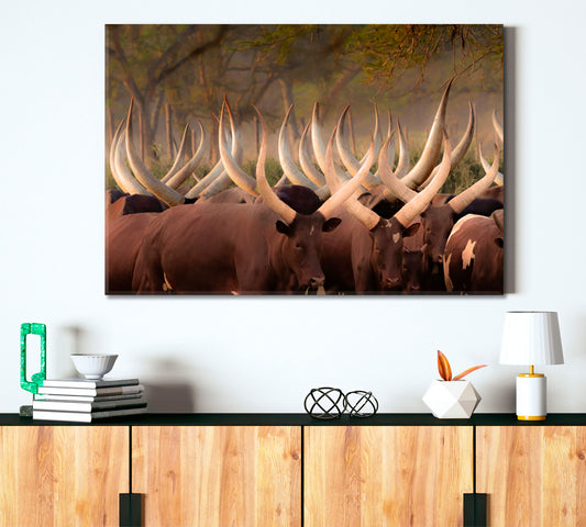 Herd Ankole Cows Huge Horns African Animals Poster Animals Canvas Print Artesty 1 panel 24" x 16"
